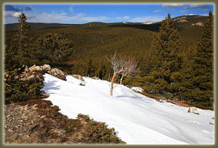 Washout Gulch, Roosevelt National Forest, Colorado