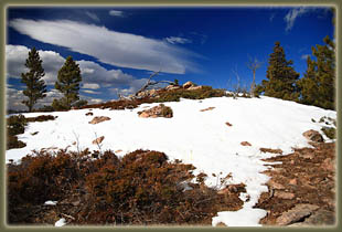 Washout Gulch, Roosevelt National Forest, Colorado