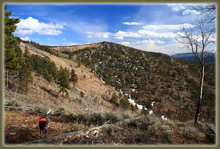 Washout Gulch, Roosevelt National Forest, Colorado