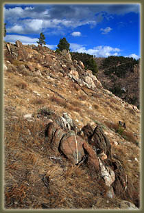 Washout Gulch, Roosevelt National Forest, Colorado