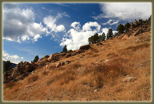 Washout Gulch, Roosevelt National Forest, Colorado