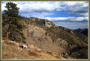 Washout Gulch, Roosevelt National Forest, Colorado