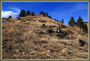 Washout Gulch, Roosevelt National Forest, Colorado