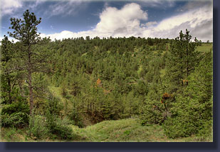 Wildcat Hills State Recreation Area