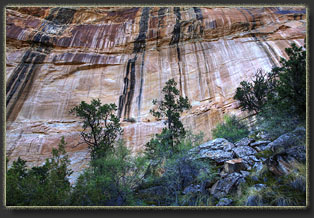 Wild Horse Canyon, Utah