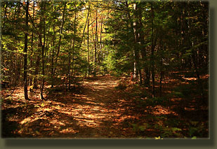 Wolfe's Neck Woods State Park