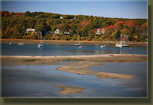 Wolfe's Neck Woods State Park