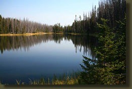 Wapiti Lake