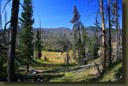 On the trail near Wapiti Lake