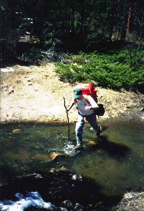 Crossing the stream in Youngs Gulch