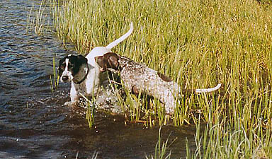 Makenzie ruins Frank's hunt