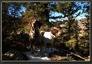 Peak 7515 above Young Gulch, Colorado