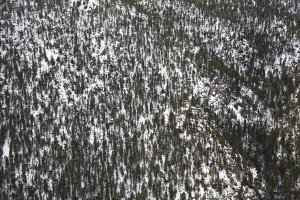 Peak 7643, Roosevelt National Forest