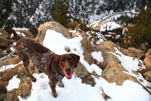 Peak 7643, Roosevelt National Forest