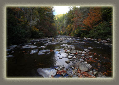 Abrams Creek, TN