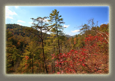 Abrams Creek, TN