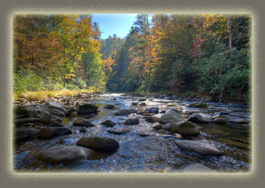 Abrams Creek, TN