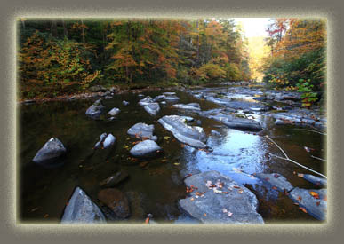Abrams Creek, TN