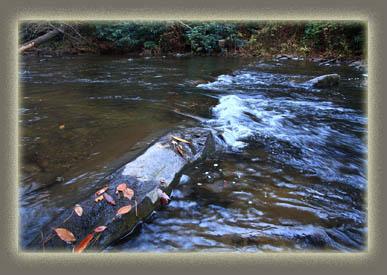 Abrams Creek, TN