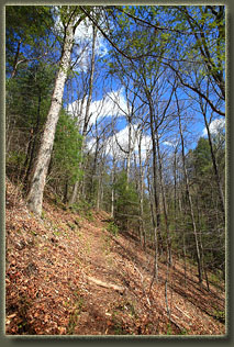 Benton MacKaye Trail, Tennessee