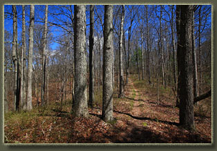 Benton MacKaye Trail, Tennessee