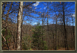 Benton MacKaye Trail, Tennessee