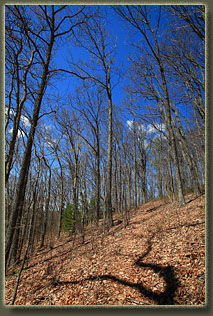 Benton MacKaye Trail, Tennessee