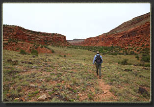 Big Dominguez Canyon, Colorado