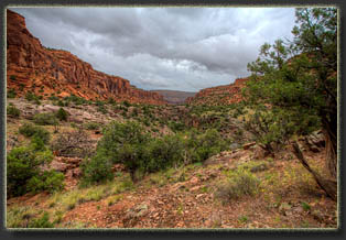Big Dominguez Canyon, Colorado