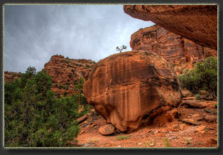 Big Dominguez Canyon, Colorado