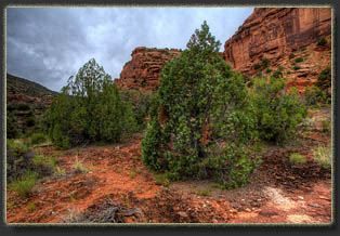 Big Dominguez Canyon, Colorado