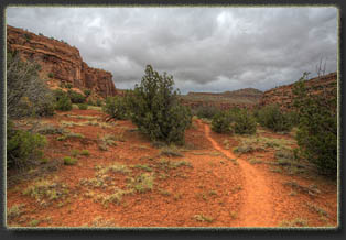 Big Dominguez Canyon, Colorado