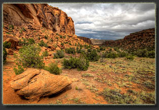 Big Dominguez Canyon, Colorado