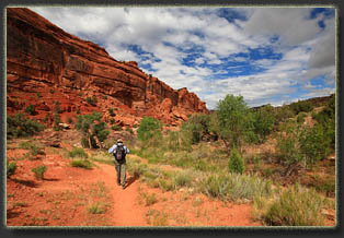 Big Dominguez Canyon, Colorado