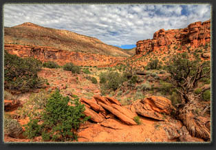 Big Dominguez Canyon, Colorado