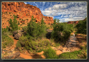 Big Dominguez Canyon, Colorado