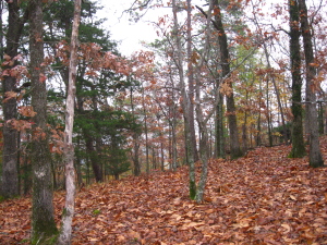 David Boren Trail, Oklahoma