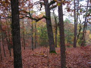 David Boren Trail, Oklahoma