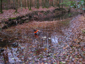 David Boren Trail, Oklahoma