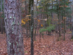 David Boren Trail, Oklahoma