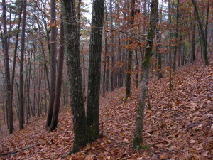 David Boren Trail, Oklahoma