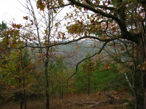 David Boren Trail, Oklahoma