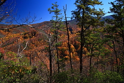 Bote Mt, TN