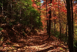 Bote Mt, TN