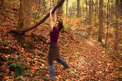 Bote Mt, TN