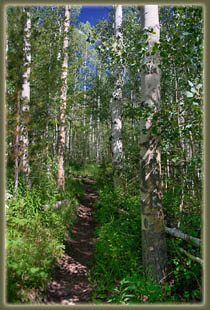 Bridal Veil Falls hike