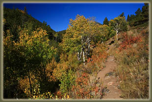 Bridal Veil Falls hike