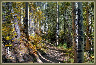 Bridal Veil Falls hike