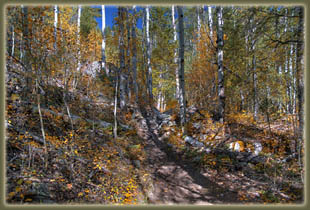 Bridal Veil Falls hike