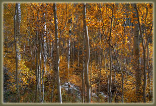 Bridal Veil Falls hike